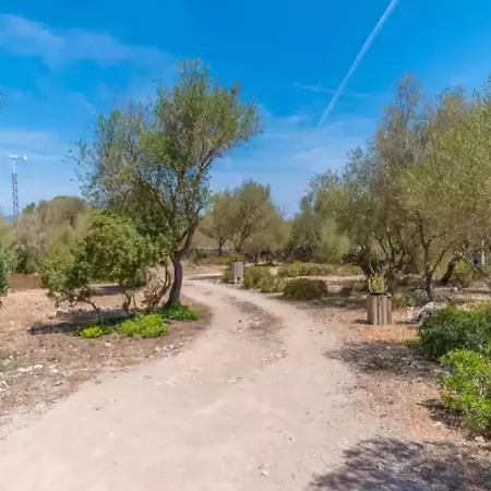 Sa Torreta - With Private Pool In Campos (Mallorca)